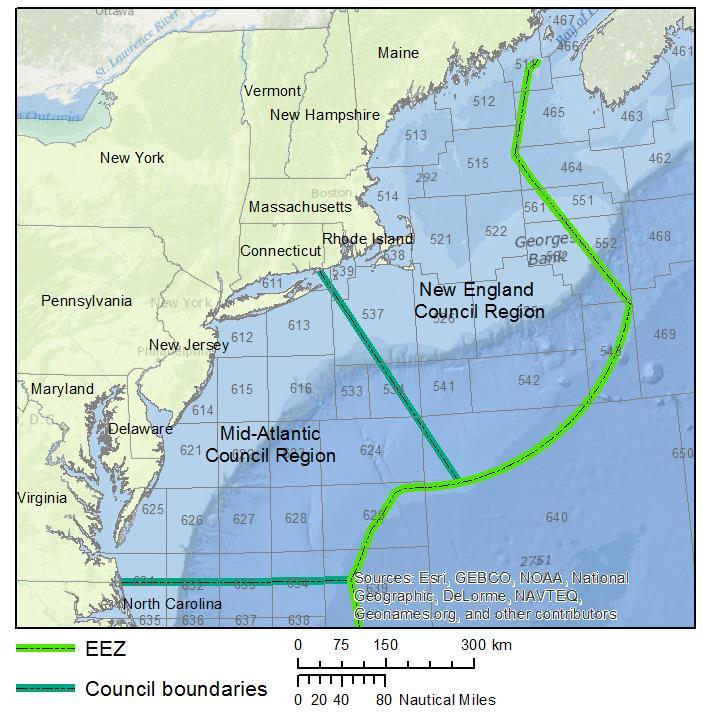Maine. However, the alternatives listed in this document for the protection of deep sea corals are not limited in scope to the Atlantic mackerel, squid, and butterfish fisheries.