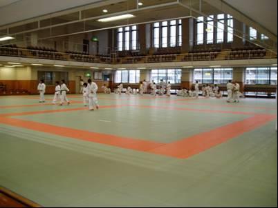 Following the uchi-komi sets, we had randori, (free-fighting) practice. Each fight lasted 4 minutes, with an immediate change-over before the next fight.