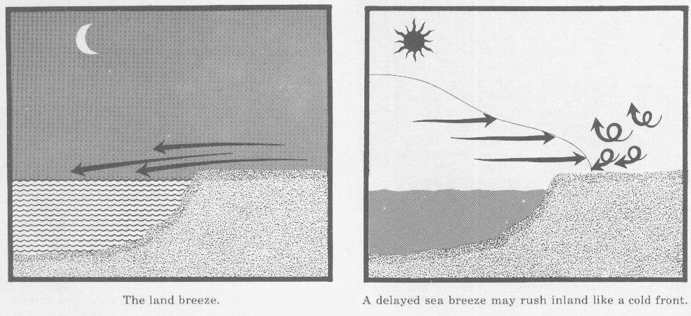 The sea breeze front can be identified by change in wind direction. The sea breeze often moves inland faster aloft than at the surface.