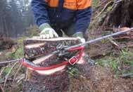 ROPES Fiber ropes for forest
