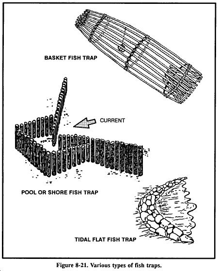 You can also use traps to catch saltwater fish, as schools regularly approach the shore with the incoming tide and often move parallel to the shore.