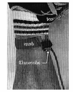Fig. 6: Tong s strap-gyroscope system for portable gait analysis. Only the shank segment is picture, but a gyroscope was attached to the thigh in a similar manner. Taken from [13].
