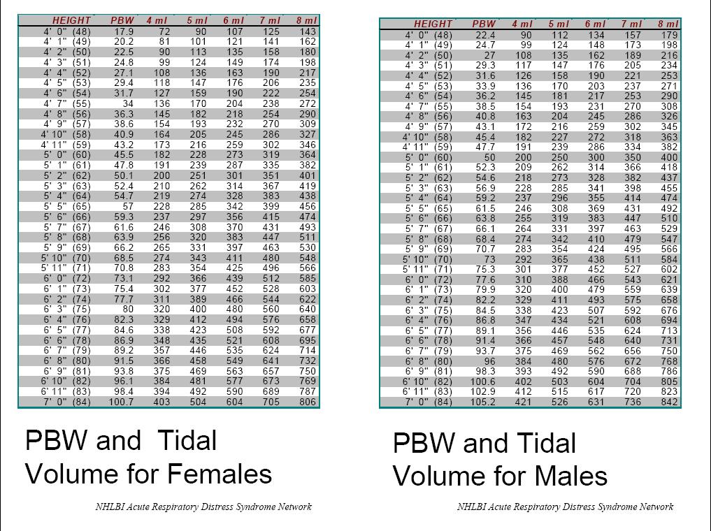 Key Concept: Tidal Volumes are based on predicted body weight not actual Female ht 6cc/kg IBW 8cc/kg IBW 5 2 301 401 5 6 356