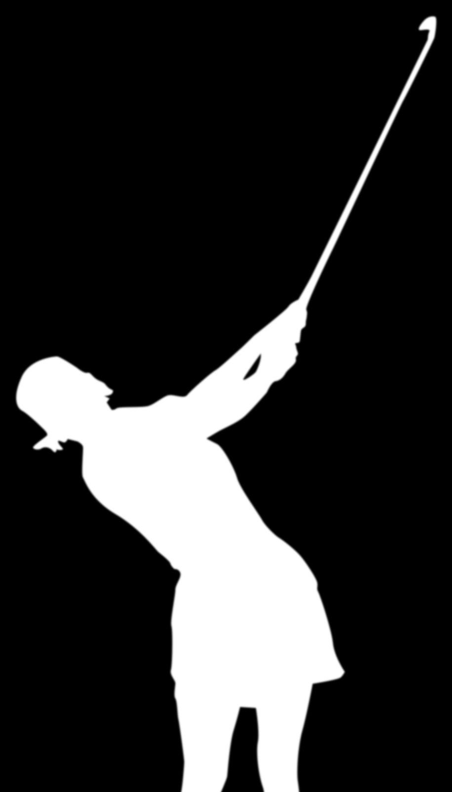 SYMERTA TOUR WINNER (2013) LPGA