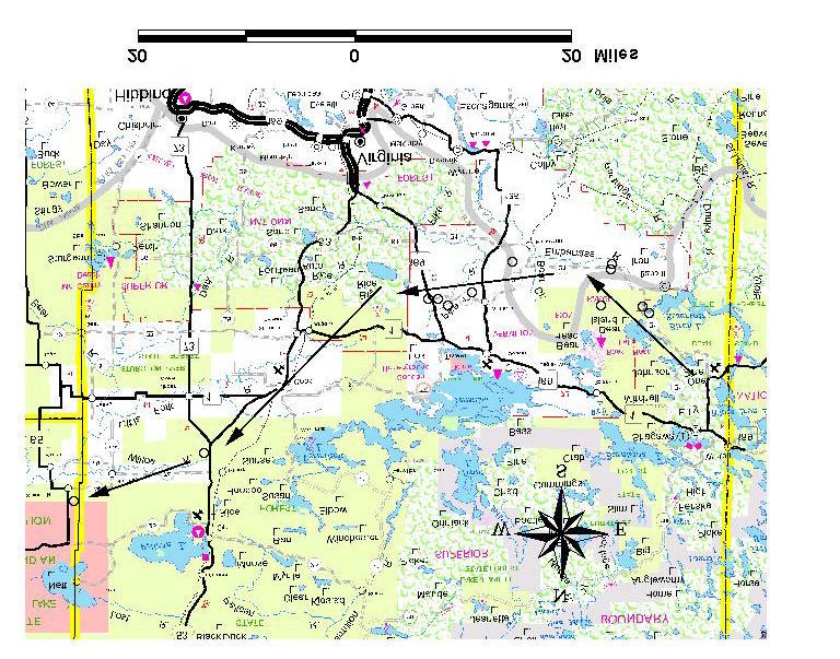 Canada Lynx Annual Report 15 of 33 Lynx 3. L3 was captured near Ely, Minnesota on 8/28/03. After 2 weeks, L3 began moving in a westward direction about 26 km to the Pike River (Fig. 7).
