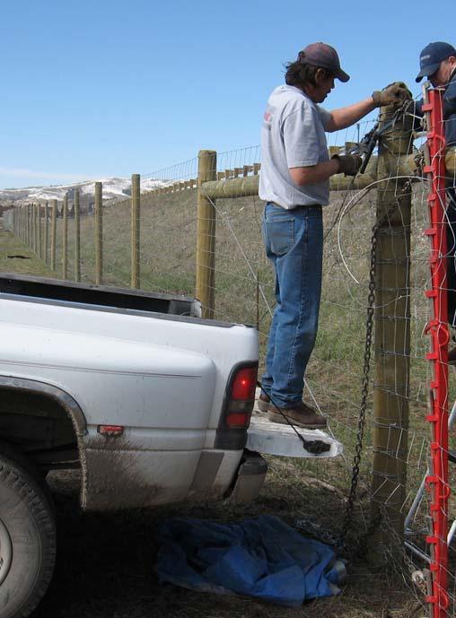 Wildlife Fencing Common measure to separate wildlife from motorists Several types of material are used, page-wire or cyclone fence material most common Electric