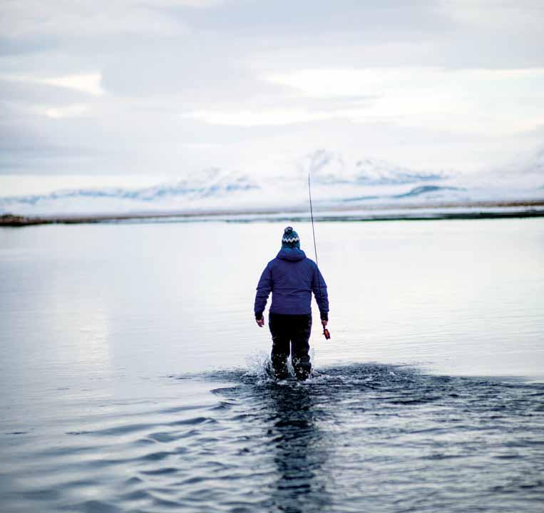Fly fishing in Iceland is a great way to experience a beautiful place. Salmon are fascinating fish.