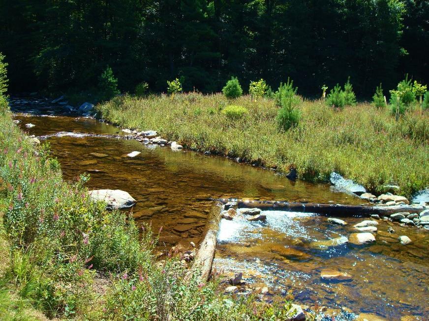 What once was a warm water fishery has now been reversed into a cold water habitat for native Brook Trout.