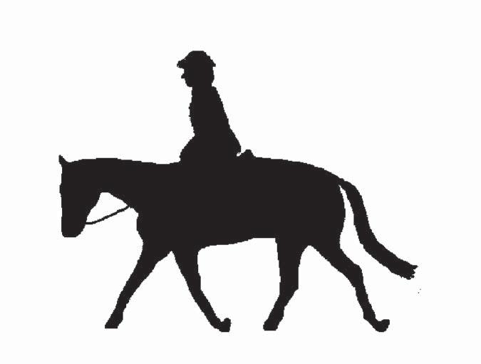 Figure 5.2. (a) Hunter under saddle showing a desirable long low frame with a long flowing stride. Head carriage is acceptable.