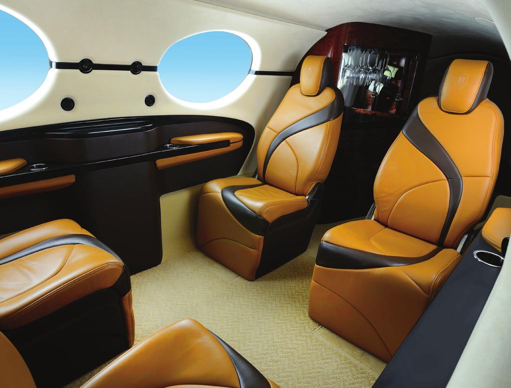 YOUR PASSENGERS DESERVE THE BEST. Do you need a luxurious 6-seat airplane with a private bathroom? Or a flying SUV with space for all your sports gear and the dogs? Or an 8-seat people mover?