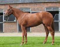 LOT 15 Dutch Art ex Girl Power (Key Of Luck) Dutch Art ex Girl Power (Key Of Luck) LOT 15 CHESTNUT GELDING (IRE) 22nd March 2015 Purchase Price: Euro 450,000 Sale: Arqana Deauville August Yearling