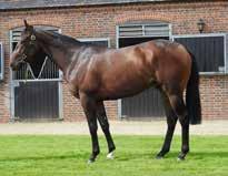LOT 25 Bated Breath ex Bonnie Doon (Grand Lodge) Bated Breath ex Bonnie Doon (Grand Lodge) LOT 25 BAY GELDING (FR) 25th January 2015 Purchase Price: Euro o 260,000 Sale: Arqana Deauville August