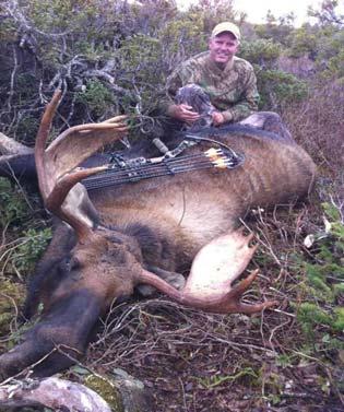 Several clients took both moose and caribou in Newfoundland - congrats