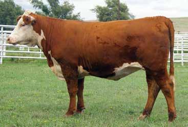 IMR 225Z DOMINETTE 6027D 6027D 43690377 Calved: March 6, 2016 Tattoo: 6027 CL 1 DOMINO 860U {SOD}{CHB}{DLF,HYF,IEF} CL 1 DOMINO 637S 1ET {CHB} CL 1 DOMINO 225Z 1ET {DLF,HYF,IEF} CL 1 DOMINO 637S 1ET