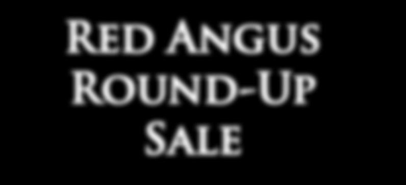 2013 Red Angus Round-Up Sale April 19, 2013 11:00 a.m.