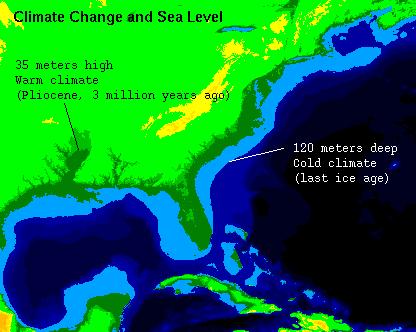 Sea Level Variation in Last 700,000 years Long-Term Changes in Sea Level Volume of Glacier Ice Pleistocene Ice Age 400-500 ft Lower Estuaries = Drowned River
