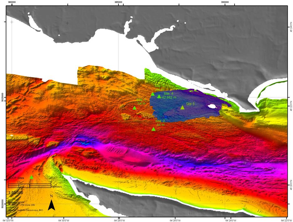 The following section of this report presents stick plots and transect plots that represent the current spatial distributions at different depths from the vessel-mounted ADCP data.