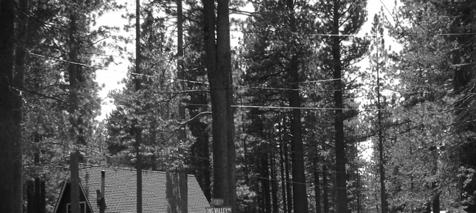 12 Bijou Pines Neighborhood Description The Bijou Pines neighborhood is located east of the Al Tahoe neighborhood