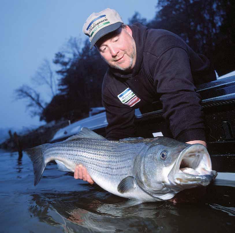STRIPED BASS & STRIPED BASS HYBRIDS BILL LINDNER PHOTOGRAPHY Stripers need little introduction as they are well-recognized among Oklahoma anglers as one of the state s hardest fighting,