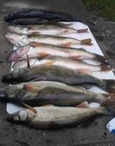 County by County Reports FRENCH CREEK flowing through all four counties Tabetha @ Myer s Sportsman Connection; filed 5-21: With cooler temperatures, walleyes are biting in French Creek when the water