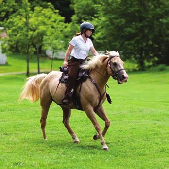 Outdoorsman EQUESTRIAN RECREATIONAL RIDING INSTRUCTION English (jumping optional) or Western. This is a private activity. Allow up to two hours.
