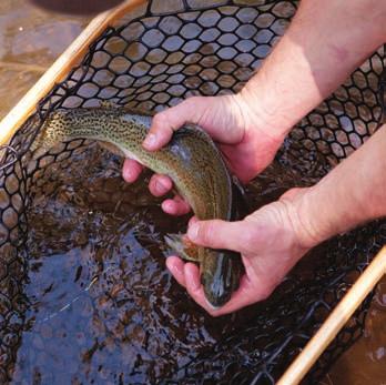 Outdoorsman ON PROPERTY FISHING FLY-FISHING Blackberry Farm became an Orvis-endorsed fishing lodge in 2001, and we are very proud of our association with Orvis and its group of endorsed lodges.