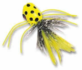Knowing what lures to use can bring you success, since you will be casting lures that will appeal to fish.