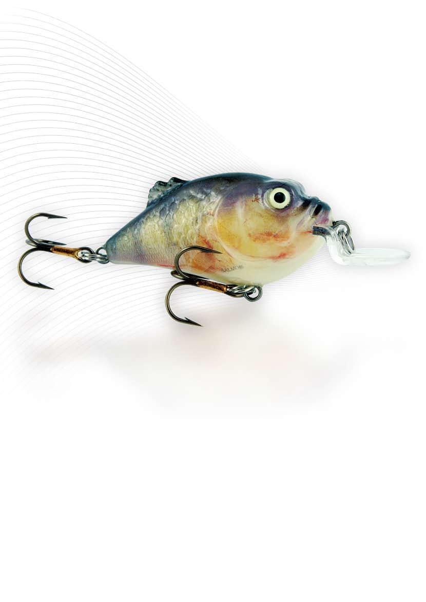 SALMO BOXER LURE TYPE - crankbait IN THE SALMO OFFER SINCE - 2003 AVAILABLE SIZES - 4 and 7 cm AVAILABLE VERSIONS - shallow runner and super deep runner AVAILABLE COLOURS - 5 RECOMMENDED METHOD OF