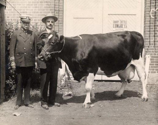 The History of the National Cattle Congress The first ever Dairy Cattle Congress was opened in Waterloo on October 10, 1910.
