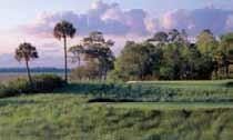 Turtle Point/Jack Nicklaus Under the watchful eye of course designer Jack Nicklaus, Turtle Point will close on January 4th for a nine-month renovation that will refurbishing green complexes,