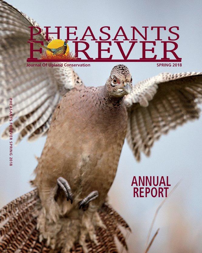 This article originally appeared in the Spring 2018 issue of Pheasants Forever Journal, which is published five times a year and features stories on upland bird hunting, guns, sporting