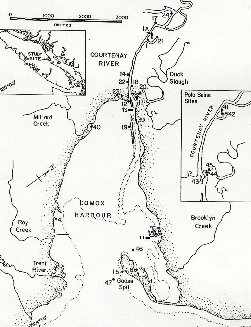 47 Fig. 1. Map of the Courtenay and estuary showing the sites sampled in 2.