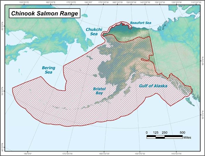 Figure 1: A map of the range of Chinook salmon within Alaskan waters by the Alaska Department of Fish and Game (http://www.adfg.alaska.