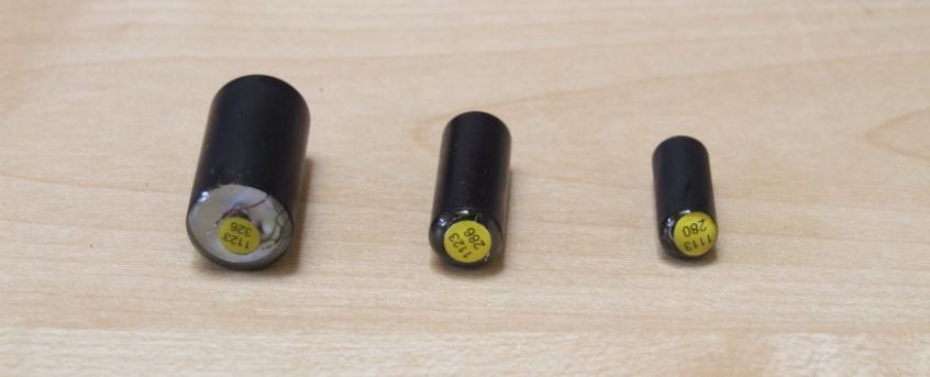 4; 9 or 16 mm acoustic tags Tag inserted into the body cavity