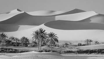 It s a place where underground water reaches Earth s surface. The far-off date palms in an oasis shimmer in the sun. They alert thirsty travelers that there is water nearby.