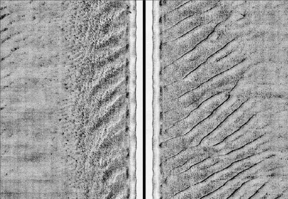 Detailed sections of the sidescan sonar