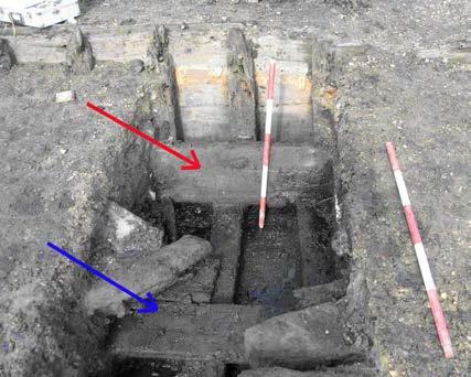 Figure 35 The port side of the vessel, giving an internal view of the planking, the bilge stringer (red arrow) and the port ceiling planking (blue arrow) (looking east) Seven large disarticulated