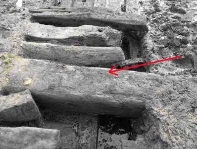 Figure 30 Image of the keelson looking west (keelson indicated by arrow) There are three sets of floor timbers running through Area FL 5 B, each appear complete and in excellent condition; it appears