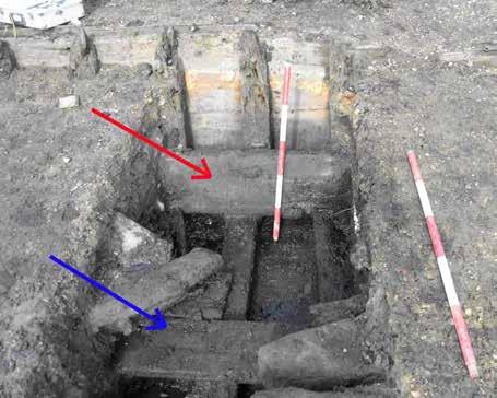 Figure 33 The port side of the vessel, giving an internal view of the planking, the bilge stringer (red arrow) and the port ceiling planking (blue arrow) (looking east) Seven large disarticulated