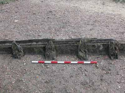 of the sternpost rising from this. Viewing the sternpost in section it measured 0.24m long by 0.20m wide. No fastenings were visible due to the mud.