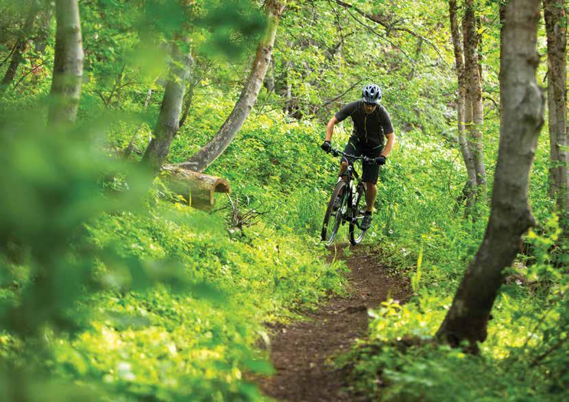 MOUNTAIN \ TRAIL HARDTAILS TRAIL HAPPY TRAILS. Mountain biking is a blast, even more so when you re on a bike designed to bring out your best.