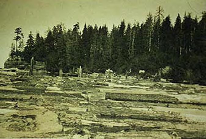 Figure J.4. Pysht estuary photograph (circa 1920s) showing the extent of logging, log transport and storage, and bark deposition (photograph courtesy of Dick Goin).