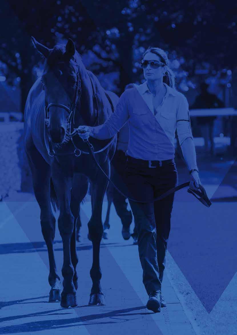 THE PARTICIPANTS STABLE EMPLOYEES THE PARTICIPANTS GODOLPHIN STUD AND STABLE STAFF AWARDS NUMBER OF EMPLOYEES (FULL AND PART TIME) WITH LICENSED AND PERMITTED TRAINERS M F M F M F M F M F FT (with