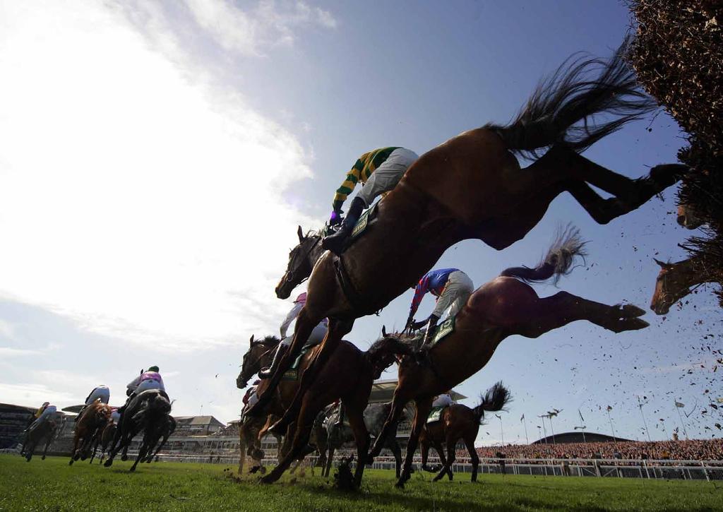 THE RACECOURSES BRITISH RACECOURSES THE RACECOURSES BRITISH RACECOURSES JUMP COURSES STATS 2013 Racecourse Fixtures Abandoned Entries Runners Avg Runners AINTREE 8 56 1,332 624 11.