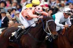 supreme Black Caviar (AUS) [130] and Treve (FR) [130] jointly topped the year-end 2013 Longines World s
