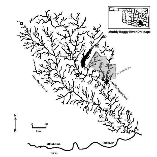 Fig. 32. Protected areas in the Muddy Boggy River drainage. Kiamichi River Drainage. The upper reaches of the Kiamichi River drainage (Fig.