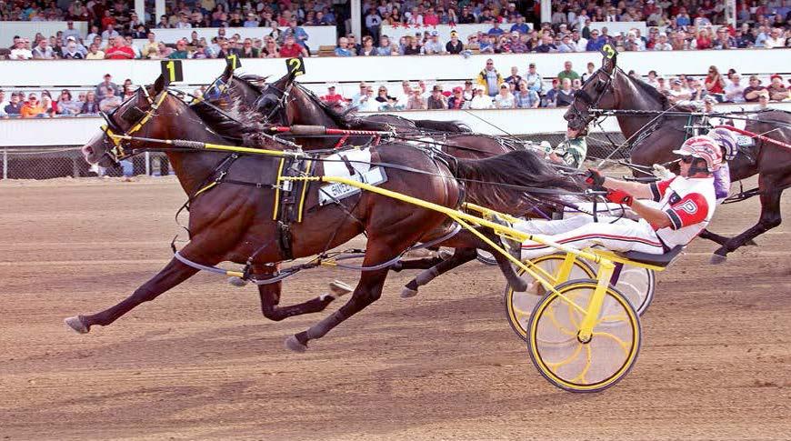 On the Track 33 wins - 21 placings - $3,478,894 Dan Patch 2YO Colt or Gelding of the Year 2011 Dan Patch Older Male Pacer of the Year 2014 US Pacer of the Year 2014 Sweet Lou blasted on to the scene