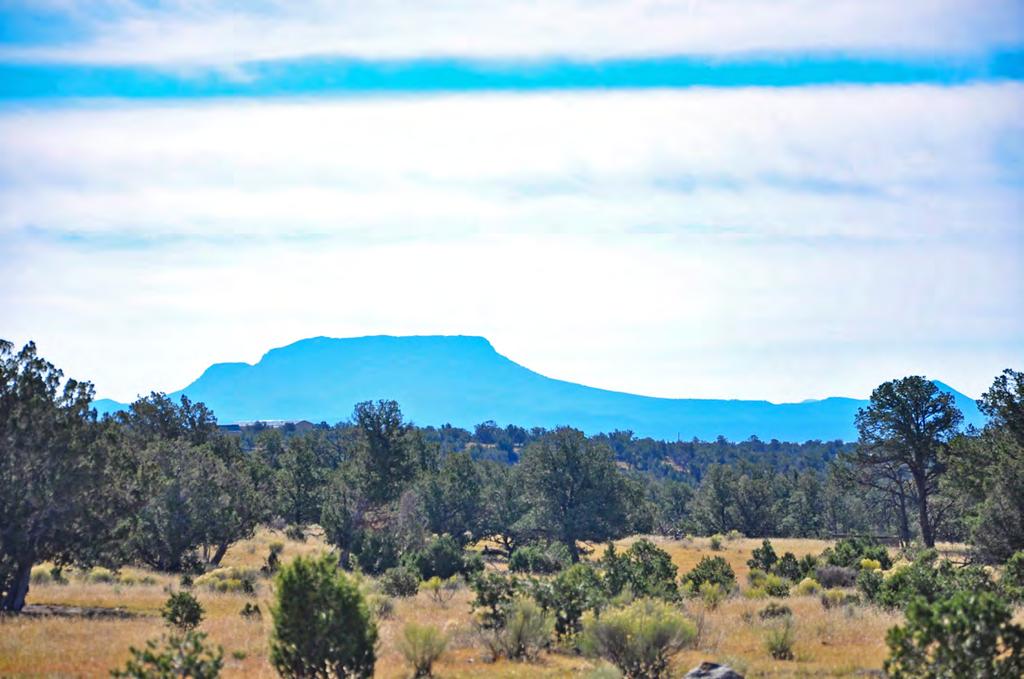 Only 15 miles south of the Trotter Ranch lies the Apache National Forest, over 2 million aces of mountain country at your fingertips for hiking, camping, and outdoor activities of every nature.