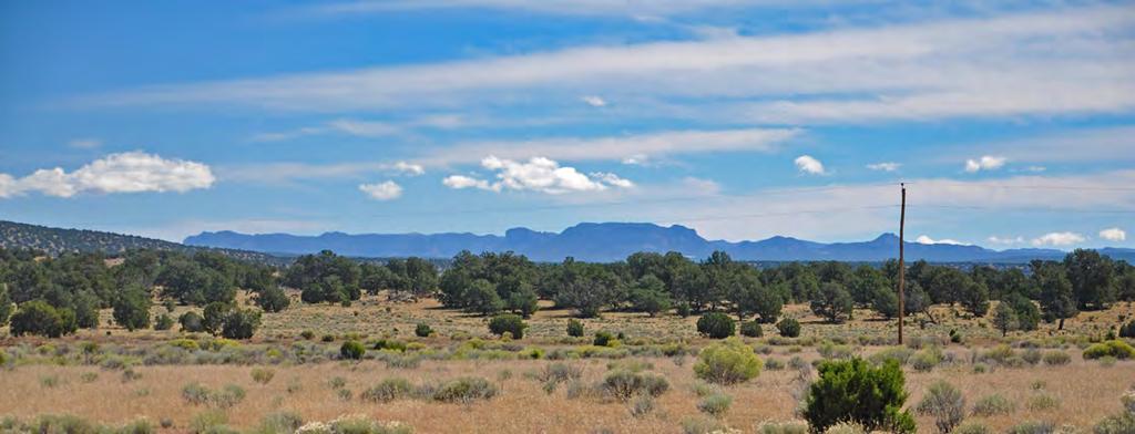 Hunting and Recreational Ranch Sweeping views of the Sawtooth Mountains to the east and Mariano Mesa to the west, along with a blend of rolling hills and mesas covered in pinon pine and alligator