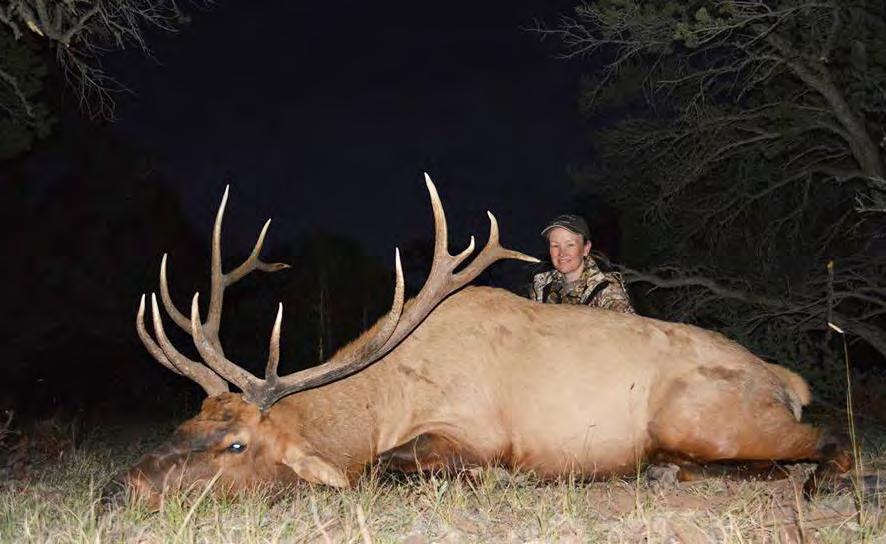 Trophy Hunting Property The Trotter Ranch is located in New Mexico s Game Management Unit 12 which offers the only early season rifle elk hunt in the southwestern portion of the state.